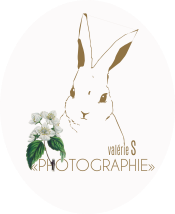 PHOTOGRAPHE MARIAGE BORDEAUX